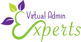 Virtual Admin Experts Logo